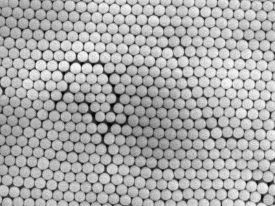 Monodisperse Silica Partikel - 500nm